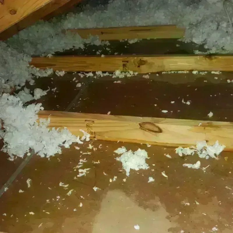 Attic Water Damage in Calera, AL