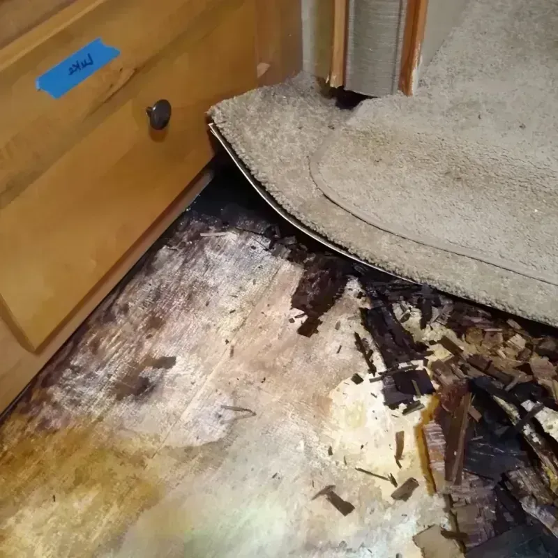 Wood Floor Water Damage in Calera, AL